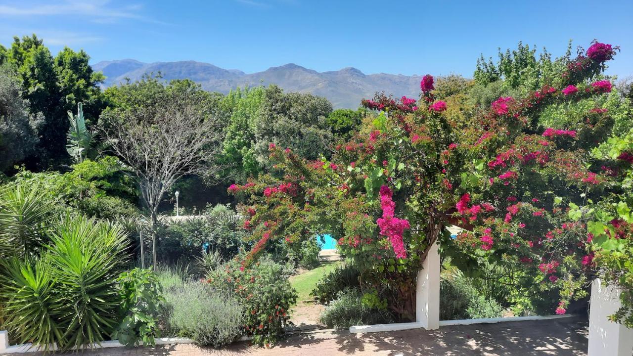 Alba House Guest House Paarl Eksteriør billede