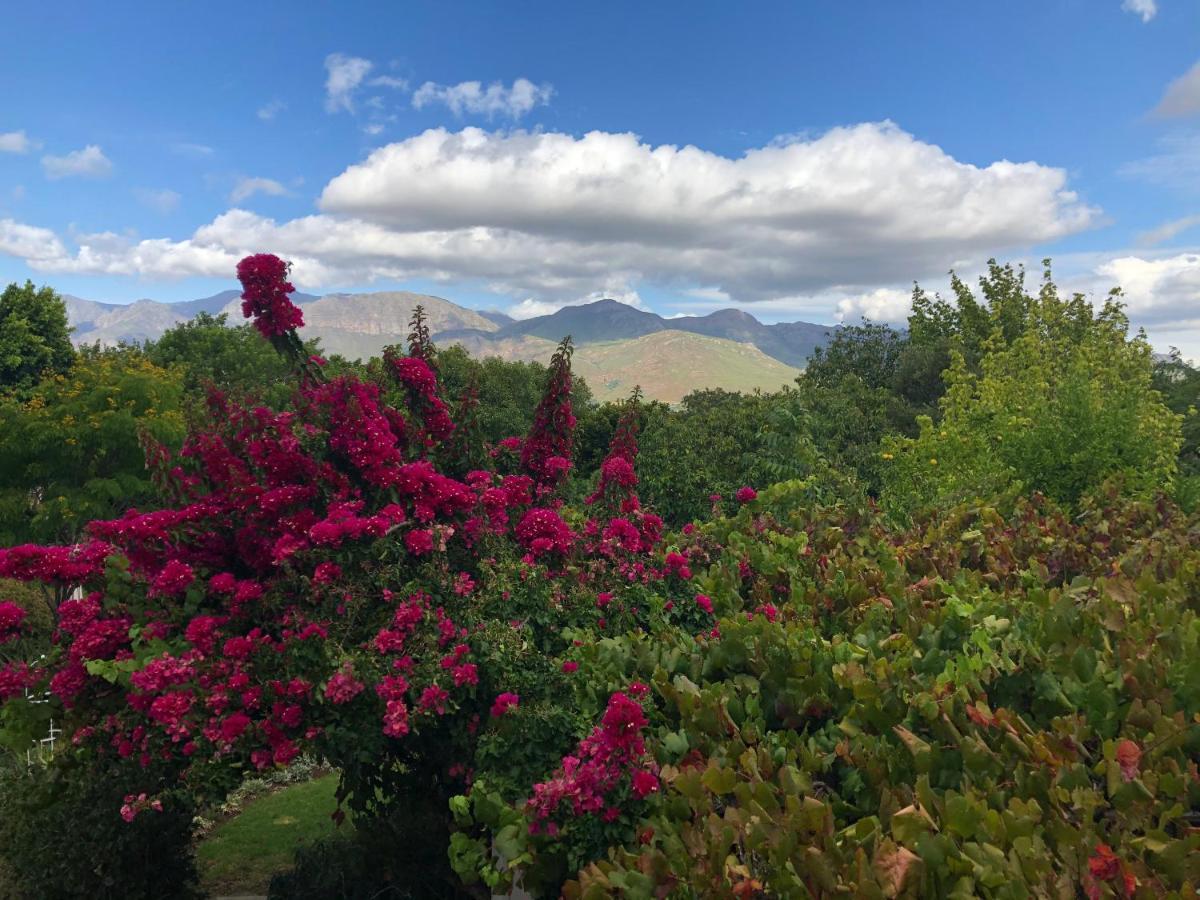 Alba House Guest House Paarl Eksteriør billede
